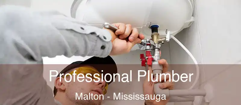  Professional Plumber Malton - Mississauga