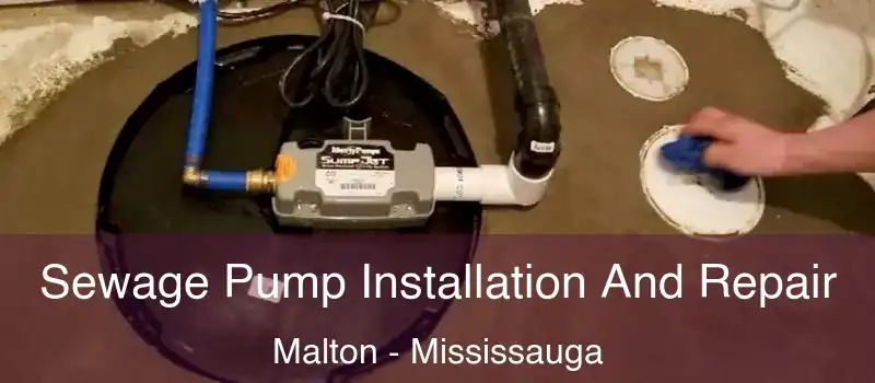 Sewage Pump Installation And Repair Malton - Mississauga